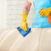 Upholstery Cleaning 1