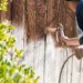 Choosing A Fence Staining Company 1