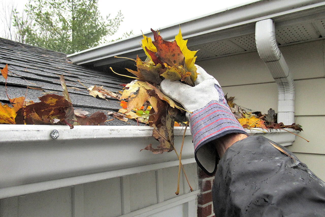Home’s Gutters Cleaned1