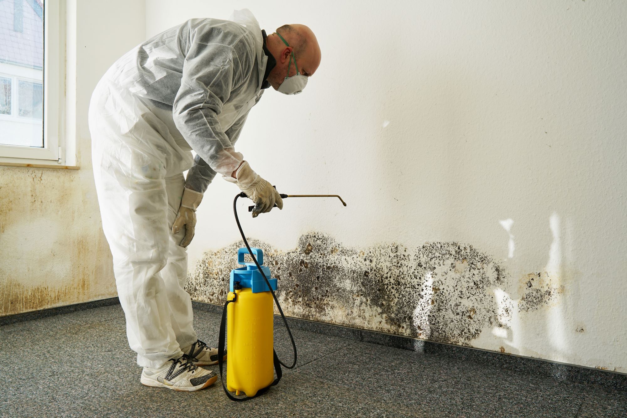 Mold Testing For Home Buyers 1
