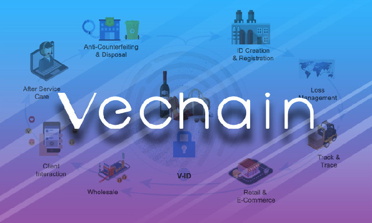 VeChain in Reducing Counterfeit Products 2