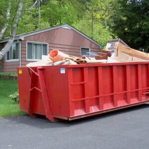 Dumpster Rental 1