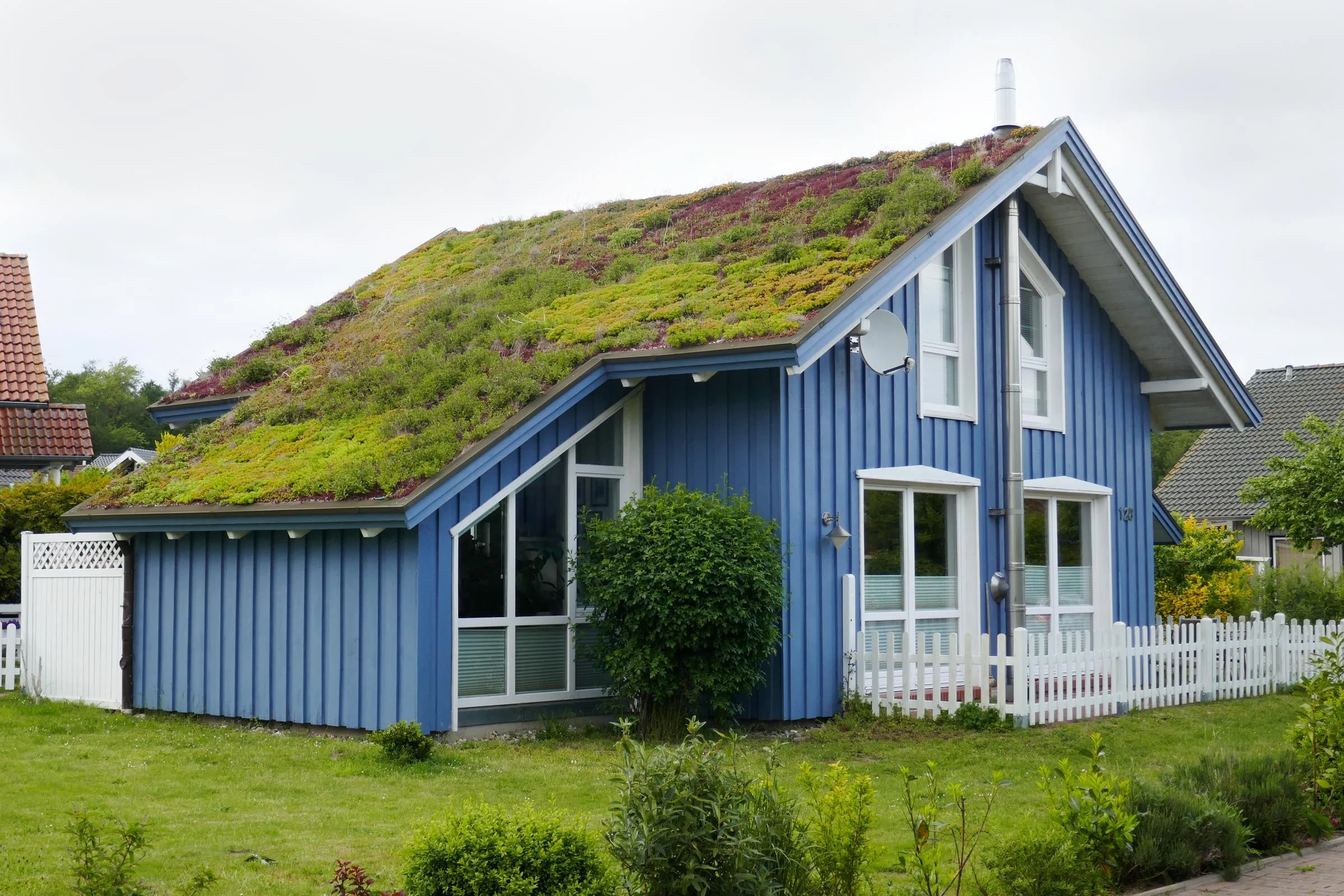 Green Roof