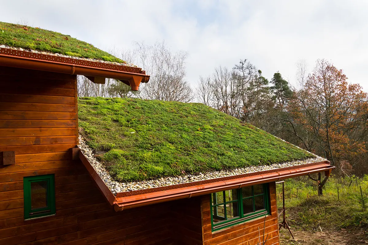 Green Roof1