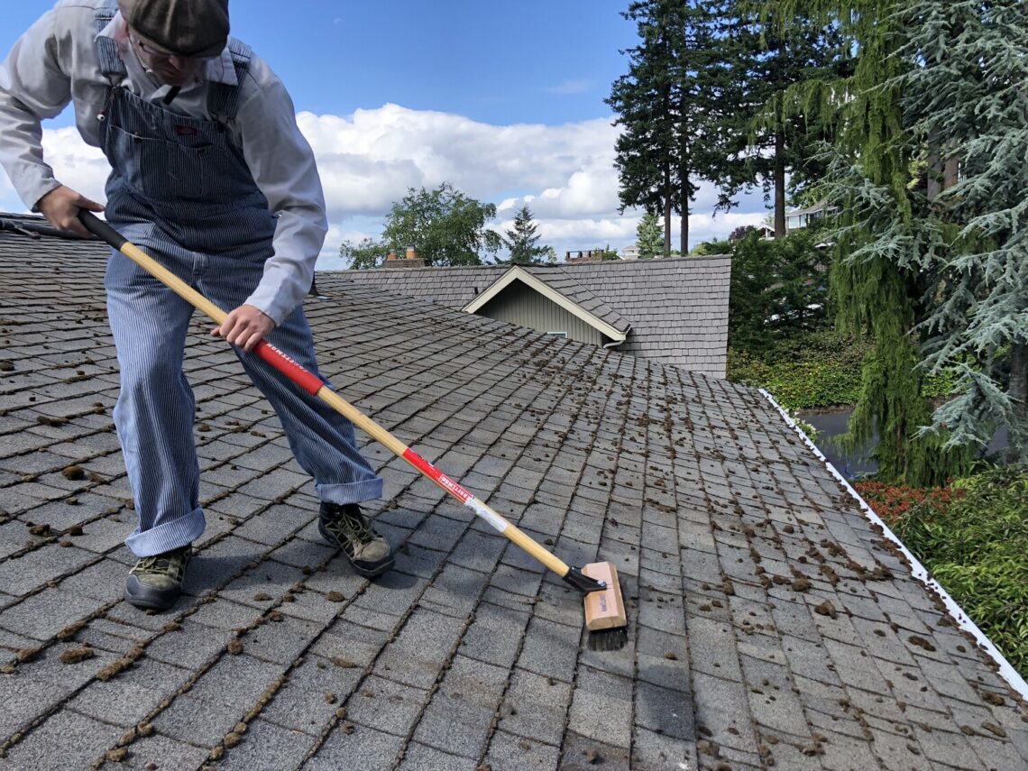 Roof Cleaning 1