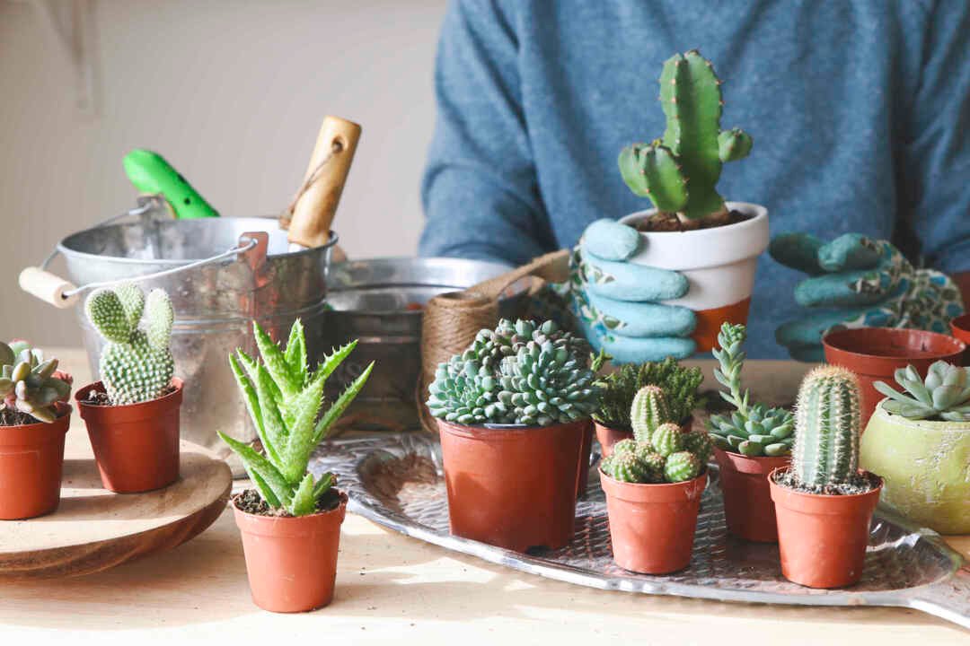 Visual idea from this collection