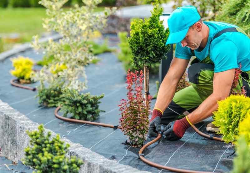 Why Hiring a Landscape Maintenance Pro is Worth Every Penny » Residence