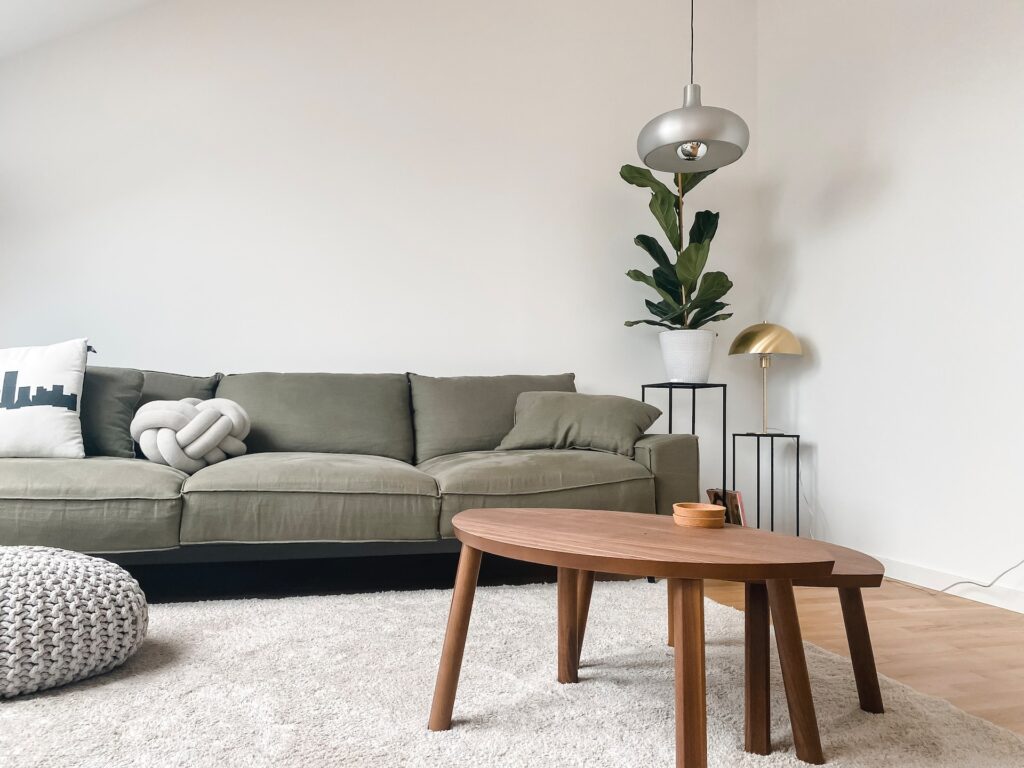 Minimalistic Living Room 1