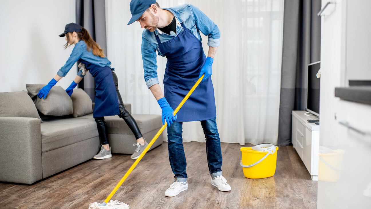 Professional Cleaning Service 2