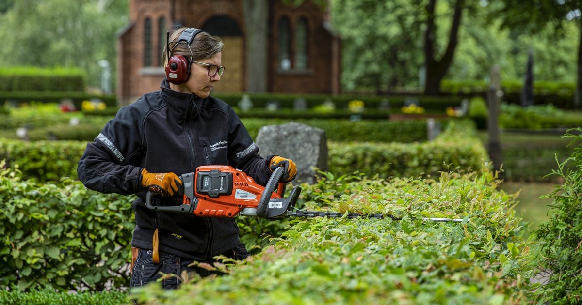 Professional Hedge Trimming Services 1