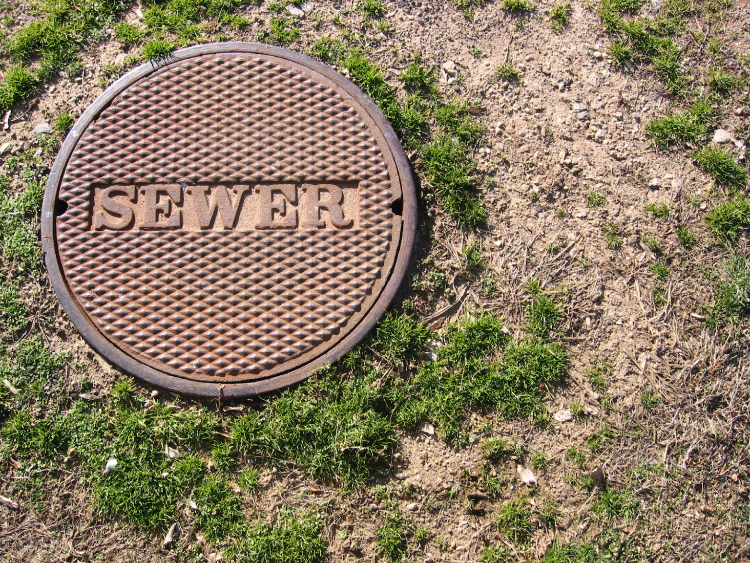 5 Signs Your Home Needs Sewer Line Repair Immediately » Residence Style