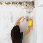 Effective Mold Removal