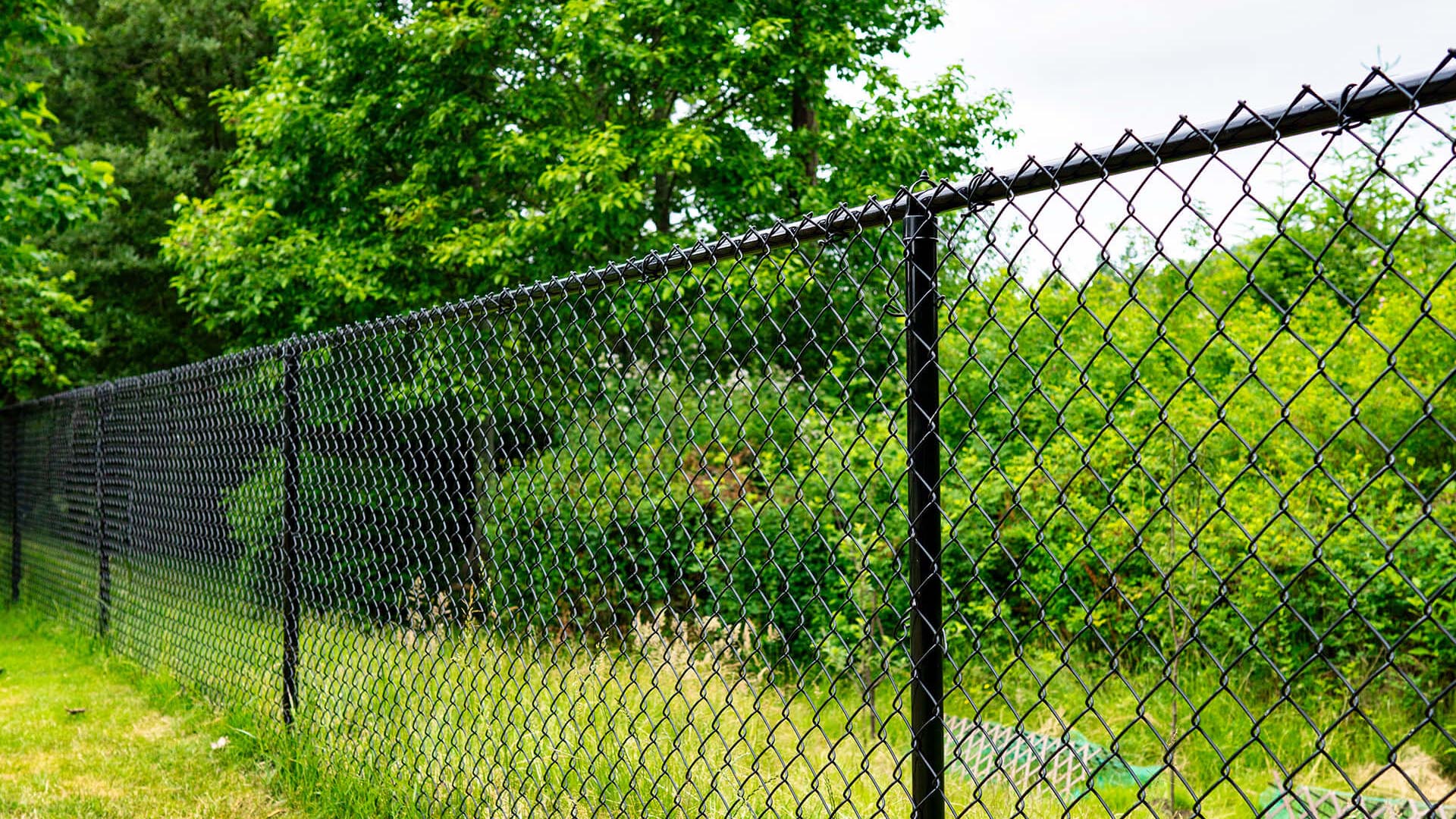 Chain Link and Wood Fences