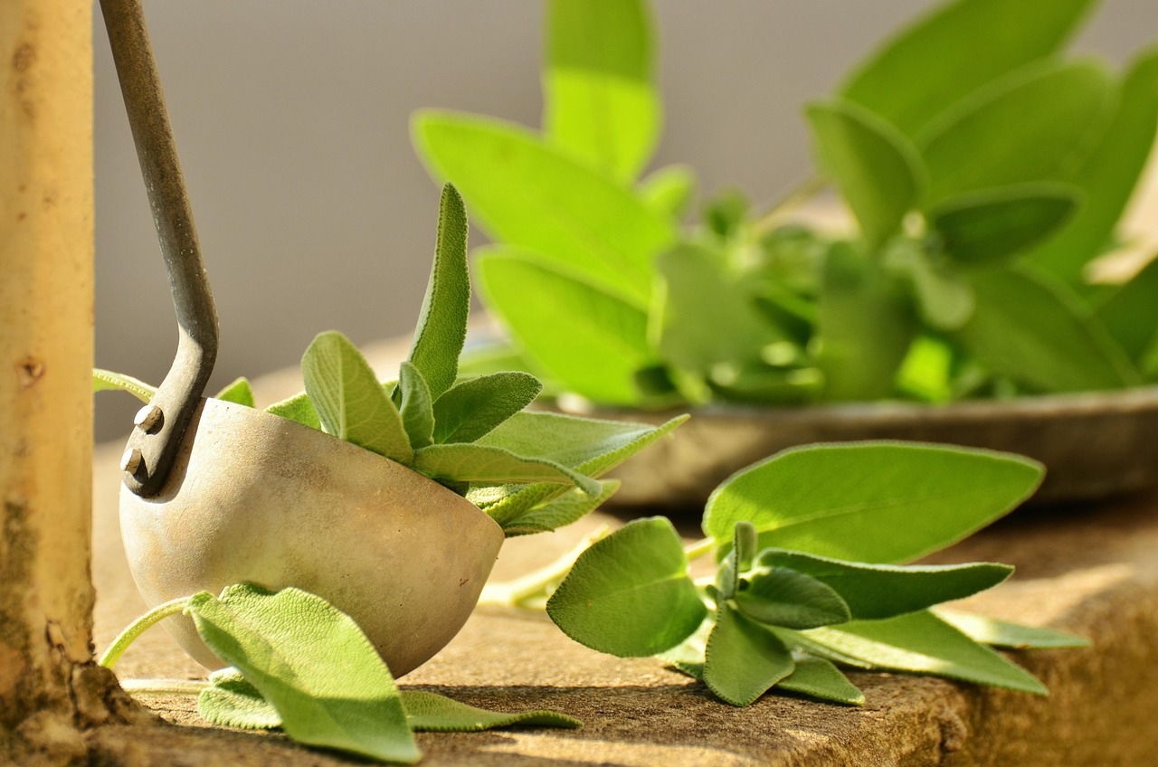Texas Sage