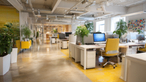 Cleaner, Fresher Office Environment