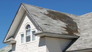 Common Household Problems