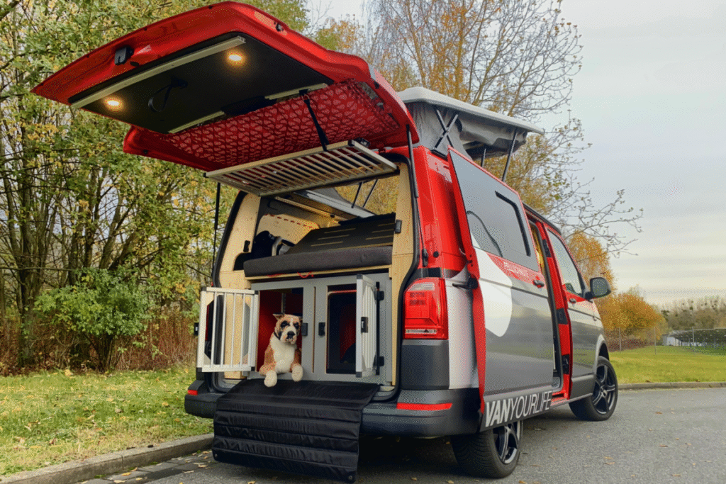 Dog-Friendly Campervan