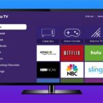 Roku Application Development