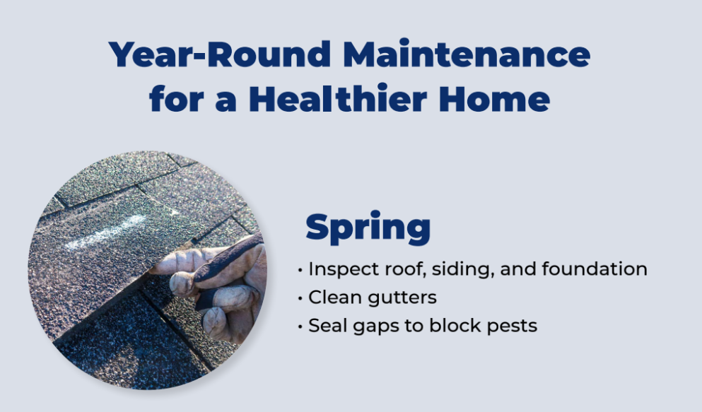 Exterior Maintenance