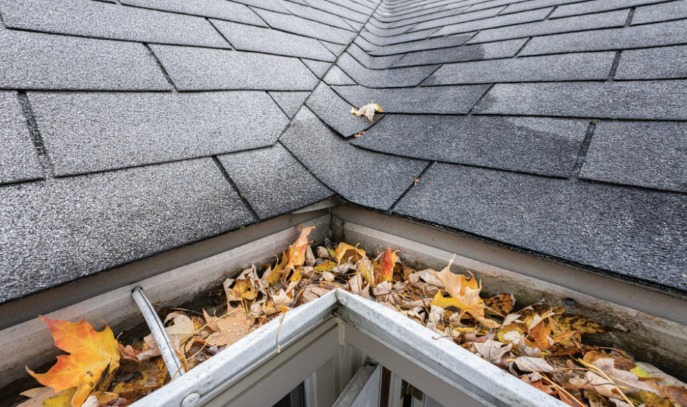 Hidden Water Pathways